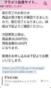先払い買取プラメリ　審査・査定結果